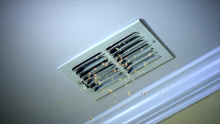 Professional Airduct Cleaning in Whitesboro, AL