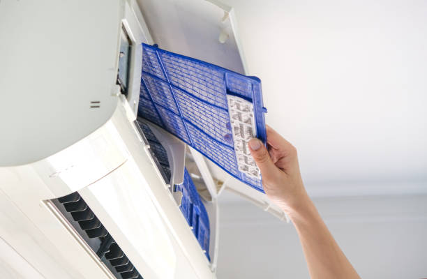 Best Air Duct Cleaning Near Me  in Whitesboro, AL