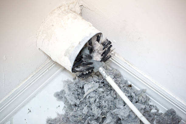 Best Residential Air Duct Cleaning  in Whitesboro, AL